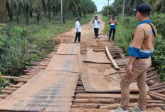 Pemkab Muba segera Perbaiki Jembatan Desa Warga Mulya