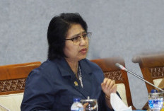 Raih 180 607 Ribu suara, Caleg Nasdem DPR RI Irma Suryani Raih Suara Tertinggi Di Sumsel 2