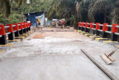 Jembatan Penghubung di Desa Sukoharjo Rampung