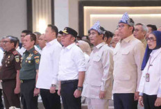 Optimis Sumsel Naik Peringkat 1 Produksi Beras Terbesar
