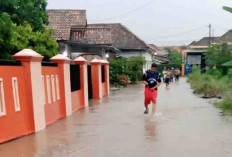 343 Rumah Warga Kabupaten OKU Terendam