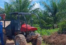 Gapki: Inovasi dan teknologi jadi kebutuhan strategis industri sawit