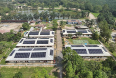 Terobosan Raksasa! MedcoEnergi Guncang Industri Migas dengan Serangan Ribuan Panel Surya!