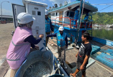 PLN Sukses Hadirkan Listrik 47,32 GWh Sepanjang 2024