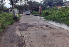 Jalan Sako Baru Rusak Berlubang Sering Tergenang Air Rawa