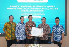 LPEI Salurkan Pembiayaan PKE Lebih Dari Rp7 Triliun Sepanjang 2024