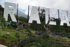 Gunung Dempo Pagaralam Dipadati Wisatawan