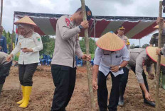 Wujudkan Swasembada Pangan, Polres PALI Tanam Jagung