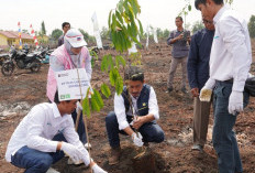 PLN UIP Sumbagsel Tanam 1.500 Pohon  dalam Program Kampung Hijau Desa Jambu   