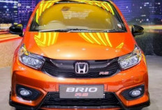 Keren, Honda Brio Masih Jadi Penopang Penjualan HPM