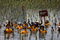 Peringati Hari Keanekaragaman Sedunia, ABM Group Libatkan 100 Volunteers untuk Menanam 600 Pohon