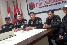 DPD Repdem Sumsel Desak Charma Afrianto Turunkan Logo Repdem