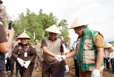 Komitmen Kejaksaan Perkuat Ketahanan Pangan