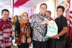 Banyuasin Launching GMDK, Tekan Angka Rawan Pangan Daerah