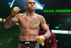 Juara UFC Pereira Inginkan Laga Tinju Lawan  Usyk pada September 2025      