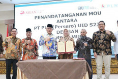 PLN UID S2JB  Terus Upayakan Peningkatan Rasio Desa Berlistrik di Sumatera Selatan