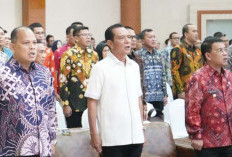 Wakil Bupati Serahkan LKPD OKU Selatan 2024 ke BPK RI