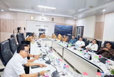 Kadisnakertrans Imbau Seluruh Perusahaan Optimalkan Tenaga Kerja Lokal