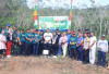 Tanam Pohon Demi Kelestarian Alam