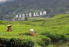 Maksimalkan Potensi, Tambah Daya Tarik Wisata