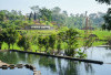 Desa Brilian Ketapanrame, Mampu Ciptakan Ekonomi Desa yang Maju dan Berkelanjutan