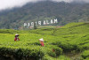 Maksimalkan Potensi, Tambah Daya Tarik Wisata