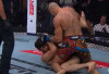Alex Pereira Rebut Kembali Gelar Juara UFC Usai Tko Ankalaev