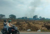 Lahan Tidur Rawa Gambut Tanjung Aur Rawan Karhutla