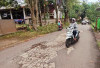 Jalan Sosial Peternakan Banyak Berlubang