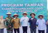 Panen Perdana Padi Gogo, Kementan Apresiasi PTPN IV PalmCo dan RSI Panen Padi di Lahan PSR