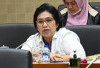 Irma Suryani Minta APH Usut Kembali Dugaan Korupsi PT SMS