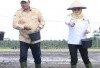 Karang Agung Ilir Jadi Pilot Project Benih IP 300 di Banyuasin