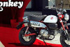 Honda Monkey 2026 Resmi Meluncur: Ikon Retro dengan Sentuhan Modern, Tampil Lebih Gagah dan Canggih