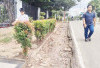Siring di Depan kampus FKIP UNSRI Srijaya Tertutup