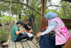 Srikandi PLN UIP Sumbagsel  LewatProgram TJSL  Monitoring Penanaman Pohon Mangrove di Desa Wisata Sungsang IV