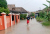 Ratusan Rumah Warga Terendam 
