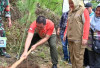 Wako Pagaralam Mulai Program Penanaman 1 Juta Pohon Pinus